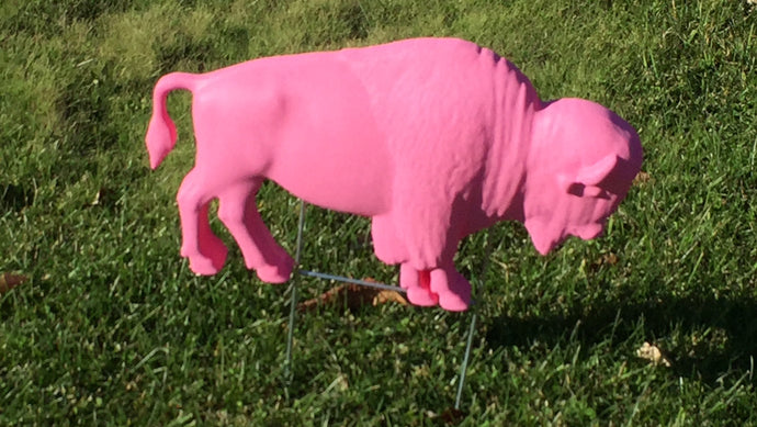 The Original Pink Buffalo Lawn Ornament (Indiegogo)
